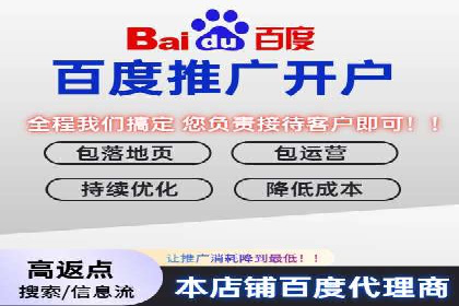 百度竞价托管公司案例分析：打造行业领军企业